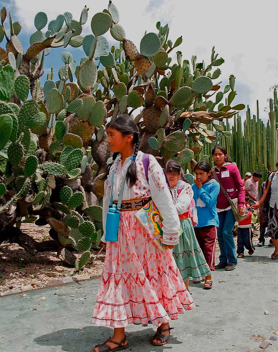 Actividades del recorrido