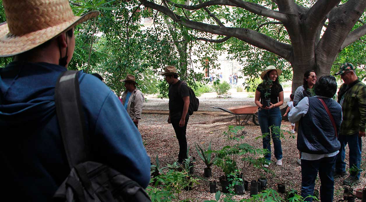 Día de los Jardínes Botánicos